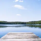 Holzsteg am ruhigen See, umgeben von grünen Wäldern. Ein friedlicher Ort an der Mecklenburgischen Seenplatte.