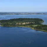 Grüne Insel Vilm mit Häusern und einem Pier, umgeben von blauem Wasser, auf dem Vögel schwimmen.