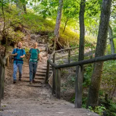 Ein Paar wandert auf einem Holzsteg durch den sonnendurchfluteten Teutoburger Wald.