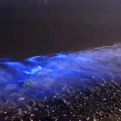 Eine Welle bricht sich in der Nacht und enthüllt ein magisches, leuchtendes Meer. Der Strand ist mit kleinen Steinen bedeckt.