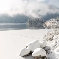 Eibsee winter: Eisbedeckter See, schneebedeckte Bäume und Berge im Nebel. Ein friedlicher Anblick.