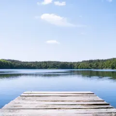 Holzsteg am ruhigen See, umgeben von grünen Wäldern. Ein friedlicher Ort an der Mecklenburgischen Seenplatte.