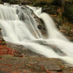 Ein rauschender zwiesel wasserfall stürzt über moosbewachsene Felsen. Herbstlaub bedeckt den steinigen Boden.