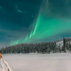 Eine Person in einem gelben Mantel steht auf einem verschneiten Weg und blickt auf die Nordlichter über einem Wald. Ein perfekter Ort, wo man im Winter Urlaub machen kann.