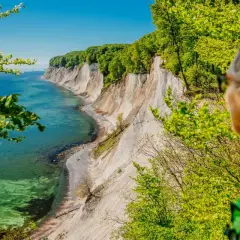 Frau blickt auf Kreidefelsen und das Meer bei Reddevitz. Grüne Bäume umrahmen die malerische Küstenlandschaft.
