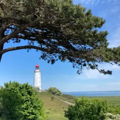 Leuchtturm Dornbusch auf Hiddensee, ein Wahrzeichen der Insel. Grüne Wiesen und Bäume umgeben diesen malerischen Ort.