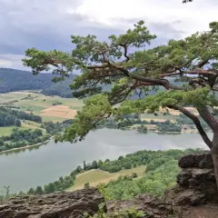 Blick vom Felsen auf den Happurger Stausee. Ein Baum ragt ins Bild, ideal für eine Wanderung.