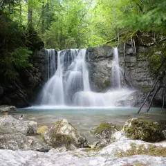Ein malerischer oberammergau wasserfall stürzt über moosbewachsene Felsen in ein klares Becken, umgeben von üppigem Grün.