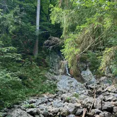 Ein kleiner, versteckter eibsee wasserfall stürzt über bemooste Felsen in einem dichten, grünen Wald.