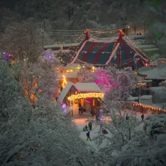 Winterzauber am Schloss Nymphenburg: Ein Märchenbasar im Schnee, beleuchtet von bunten Lichtern und Lichterketten.