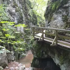 Holzstege führen durch eine grüne Klamm. Ein Bach plätschert unter den Felsen. Perfekt für eine Klamm Wanderung.