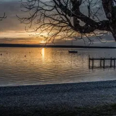 Sonnenuntergang am Ammersee. Ein Baum im Vordergrund, Boote auf dem Wasser und ein Steg.