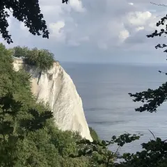 Weiße Kreidefelsen der Halbinsel Jasmund ragen steil ins Meer. Bäume säumen den Rand, das Wasser glitzert.