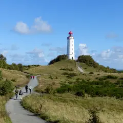 Ein Hiddensee Tagesausflug führt über grasbewachsene Hügel zum Leuchtturm. Wanderer genießen die sonnige Aussicht.