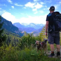 Mann mit Hund genießt Aussicht beim Tegelberg wandern Rundweg. Majestätische Alpen und ein Schloss im Tal.