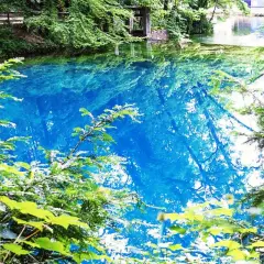 Der Blautopf in Blaubeuren, ein Naturwunder mit tiefblauem Wasser, umgeben von üppigem Grün und spiegelnden Baumkronen.