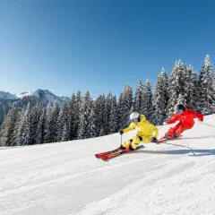 Zwei Skifahrer in leuchtenden Farben sausen über eine präparierte Piste in den **Skigebieten Alpen**. Schneebedeckte Tannen und Berge im Hintergrund.