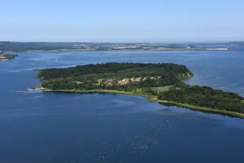 Grüne Insel Vilm mit Häusern und einem Pier, umgeben von blauem Wasser, auf dem Vögel schwimmen.
