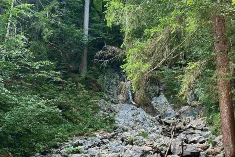 Ein kleiner, versteckter eibsee wasserfall stürzt über bemooste Felsen in einem dichten, grünen Wald.