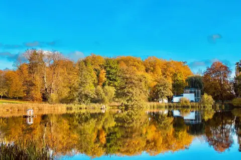 Herbstliche Farben im Schlosspark Putbus spiegeln sich im ruhigen Wasser. Ein Pavillon und ein modernes Gebäude sind zu sehen.