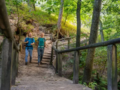 Teutoburger Wald - Dein Guide für perfekte Wanderungen