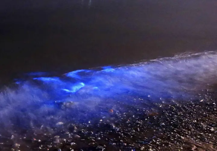 Eine Welle bricht sich in der Nacht und enthüllt ein magisches, leuchtendes Meer. Der Strand ist mit kleinen Steinen bedeckt.