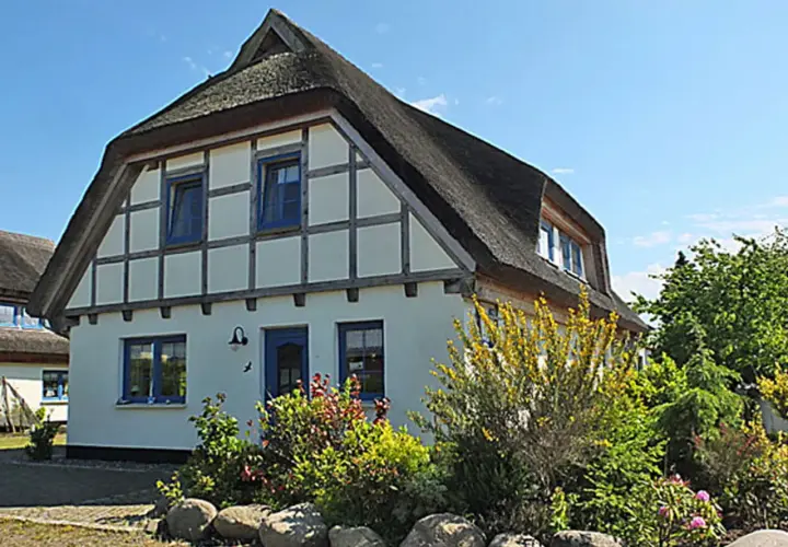 Reetgedecktes Haus mit blauen Fenstern und Tür, umgeben von blühenden Sträuchern und Bäumen. Ein idyllischer Anblick am Breeger Bodden.