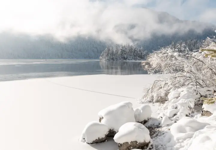 Eibsee winter: Eisbedeckter See, schneebedeckte Bäume und Berge im Nebel. Ein friedlicher Anblick.