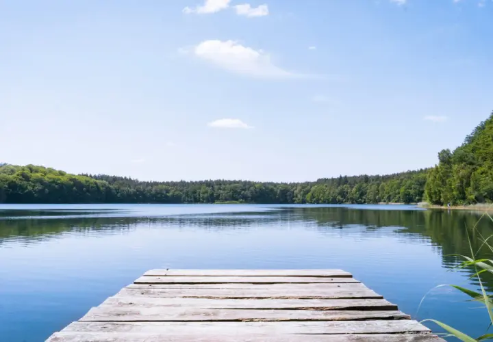 Holzsteg am ruhigen See, umgeben von grünen Wäldern. Ein friedlicher Ort an der Mecklenburgischen Seenplatte.