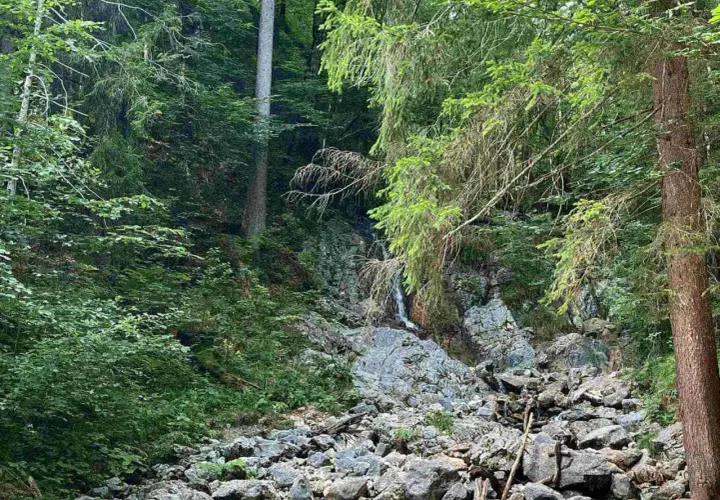 Ein kleiner, versteckter eibsee wasserfall stürzt über bemooste Felsen in einem dichten, grünen Wald.