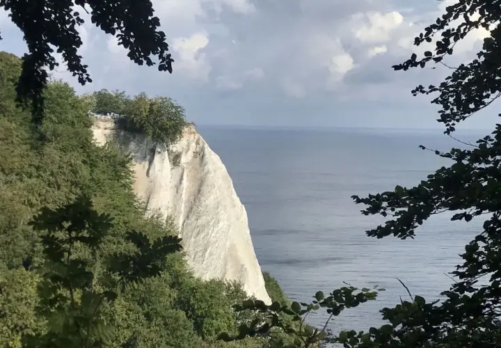 Weiße Kreidefelsen der Halbinsel Jasmund ragen steil ins Meer. Bäume säumen den Rand, das Wasser glitzert.