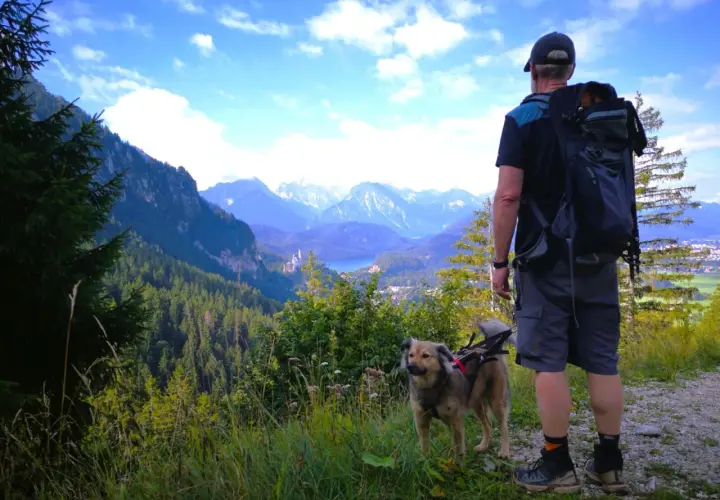 Mann mit Hund genießt Aussicht beim Tegelberg wandern Rundweg. Majestätische Alpen und ein Schloss im Tal.