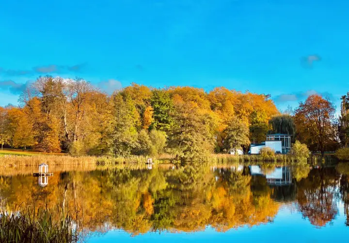 Herbstliche Farben im Schlosspark Putbus spiegeln sich im ruhigen Wasser. Ein Pavillon und ein modernes Gebäude sind zu sehen.