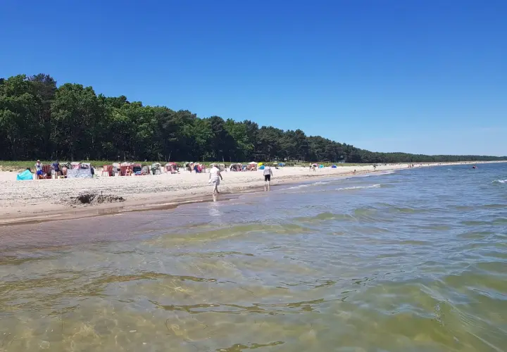 Sonniger Tag am Thiessow Strand mit vielen Strandkörben, Menschen und einem ruhigen Meer.