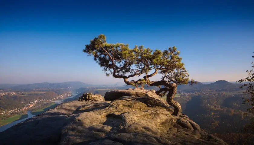 Ein einsamer Baum auf Felsen thront über einem malerischen Tal mit Fluss und Dorf. Ein perfektes Motiv für Reiseziele Ostdeutschland.