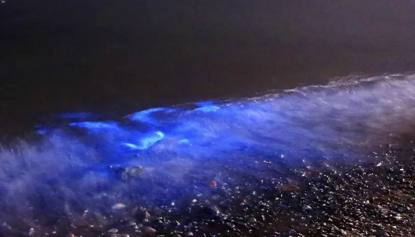 Eine Welle bricht sich in der Nacht und enthüllt ein magisches, leuchtendes Meer. Der Strand ist mit kleinen Steinen bedeckt.