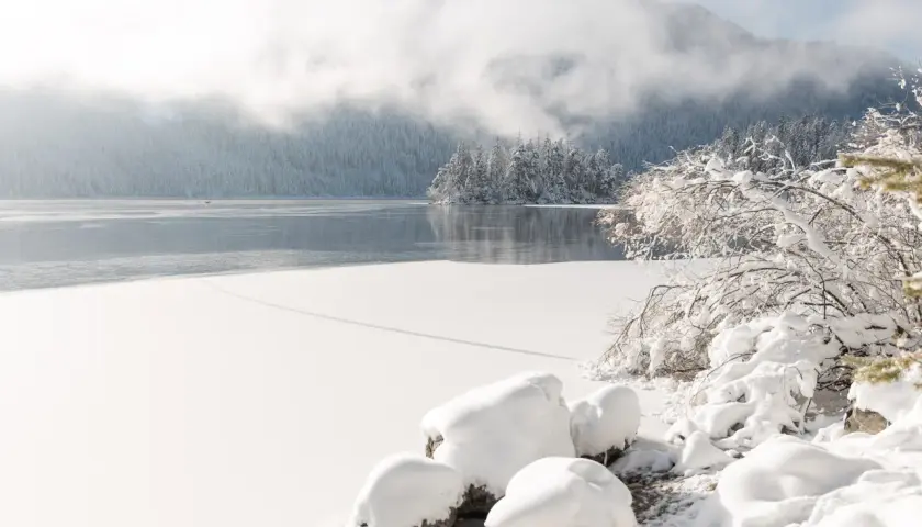 Eibsee winter: Eisbedeckter See, schneebedeckte Bäume und Berge im Nebel. Ein friedlicher Anblick.