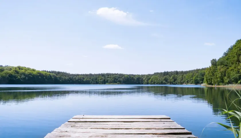 Holzsteg am ruhigen See, umgeben von grünen Wäldern. Ein friedlicher Ort an der Mecklenburgischen Seenplatte.