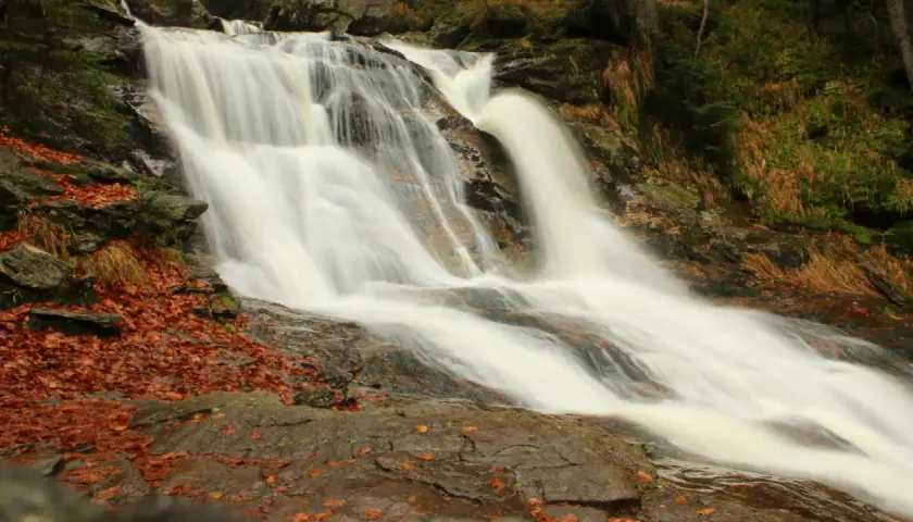 Ein rauschender zwiesel wasserfall stürzt über moosbewachsene Felsen. Herbstlaub bedeckt den steinigen Boden.