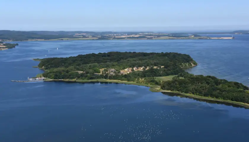 Grüne Insel Vilm mit Häusern und einem Pier, umgeben von blauem Wasser, auf dem Vögel schwimmen.