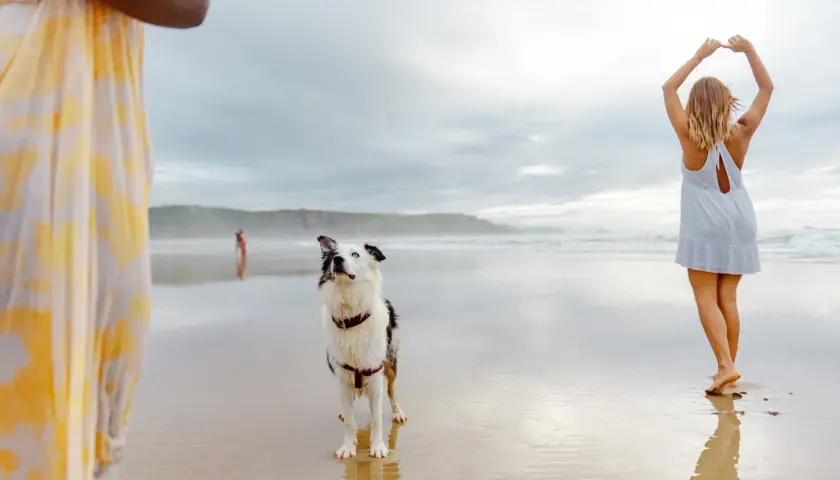 Ein Hund genießt den Urlaub am Strand, während zwei Frauen im Wasser spielen.