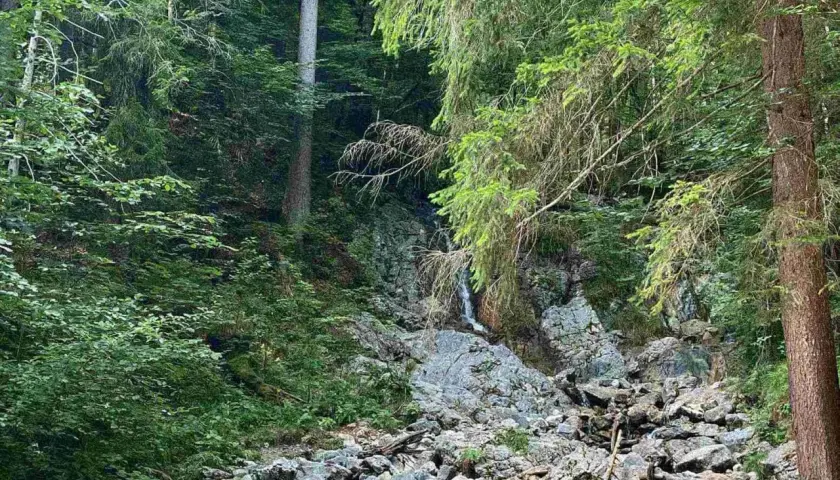 Ein kleiner, versteckter eibsee wasserfall stürzt über bemooste Felsen in einem dichten, grünen Wald.