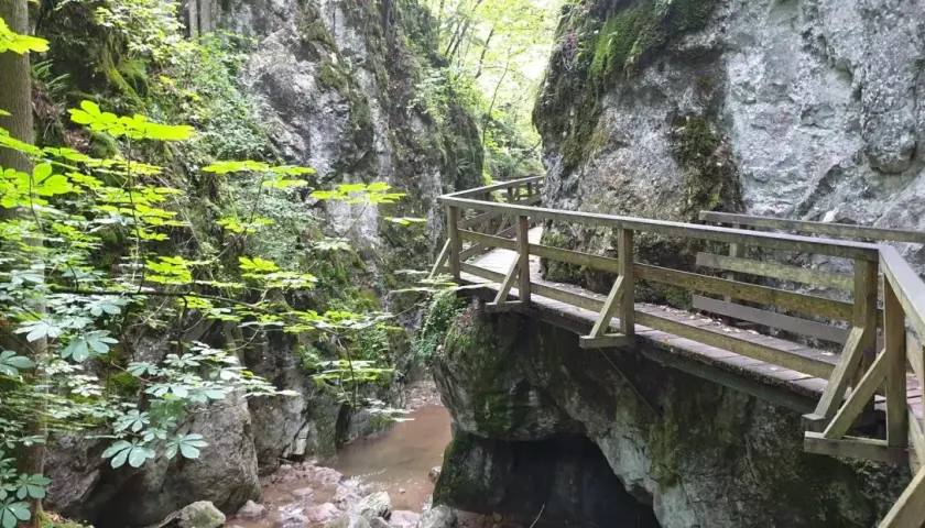Holzstege führen durch eine grüne Klamm. Ein Bach plätschert unter den Felsen. Perfekt für eine Klamm Wanderung.