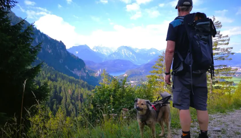 Mann mit Hund genießt Aussicht beim Tegelberg wandern Rundweg. Majestätische Alpen und ein Schloss im Tal.