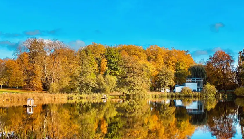 Herbstliche Farben im Schlosspark Putbus spiegeln sich im ruhigen Wasser. Ein Pavillon und ein modernes Gebäude sind zu sehen.