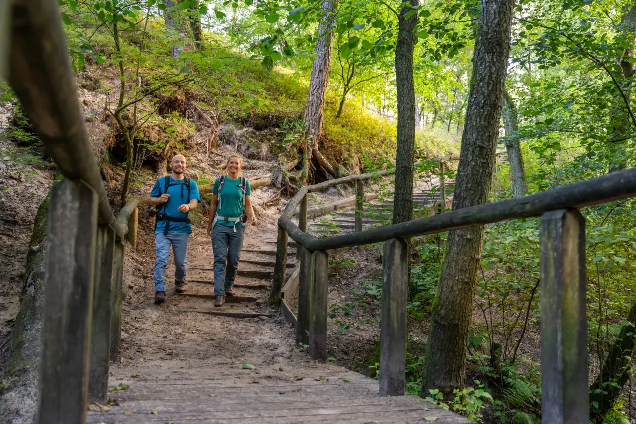 Ein Paar wandert auf einem Holzsteg durch den sonnendurchfluteten Teutoburger Wald.