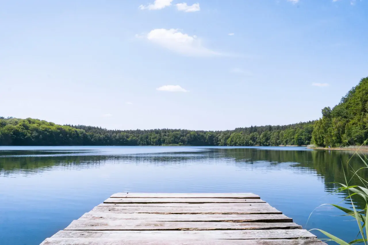 Holzsteg am ruhigen See, umgeben von grünen Wäldern. Ein friedlicher Ort an der Mecklenburgischen Seenplatte.