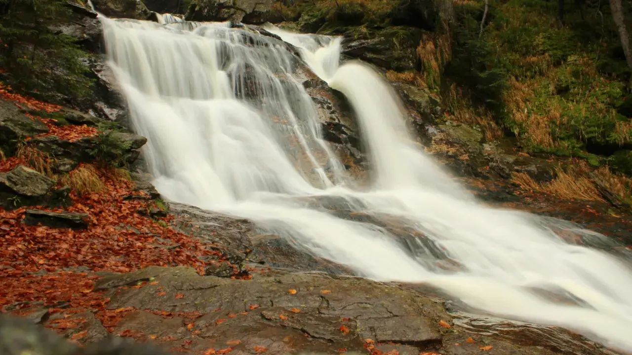 Ein rauschender zwiesel wasserfall stürzt über moosbewachsene Felsen. Herbstlaub bedeckt den steinigen Boden.