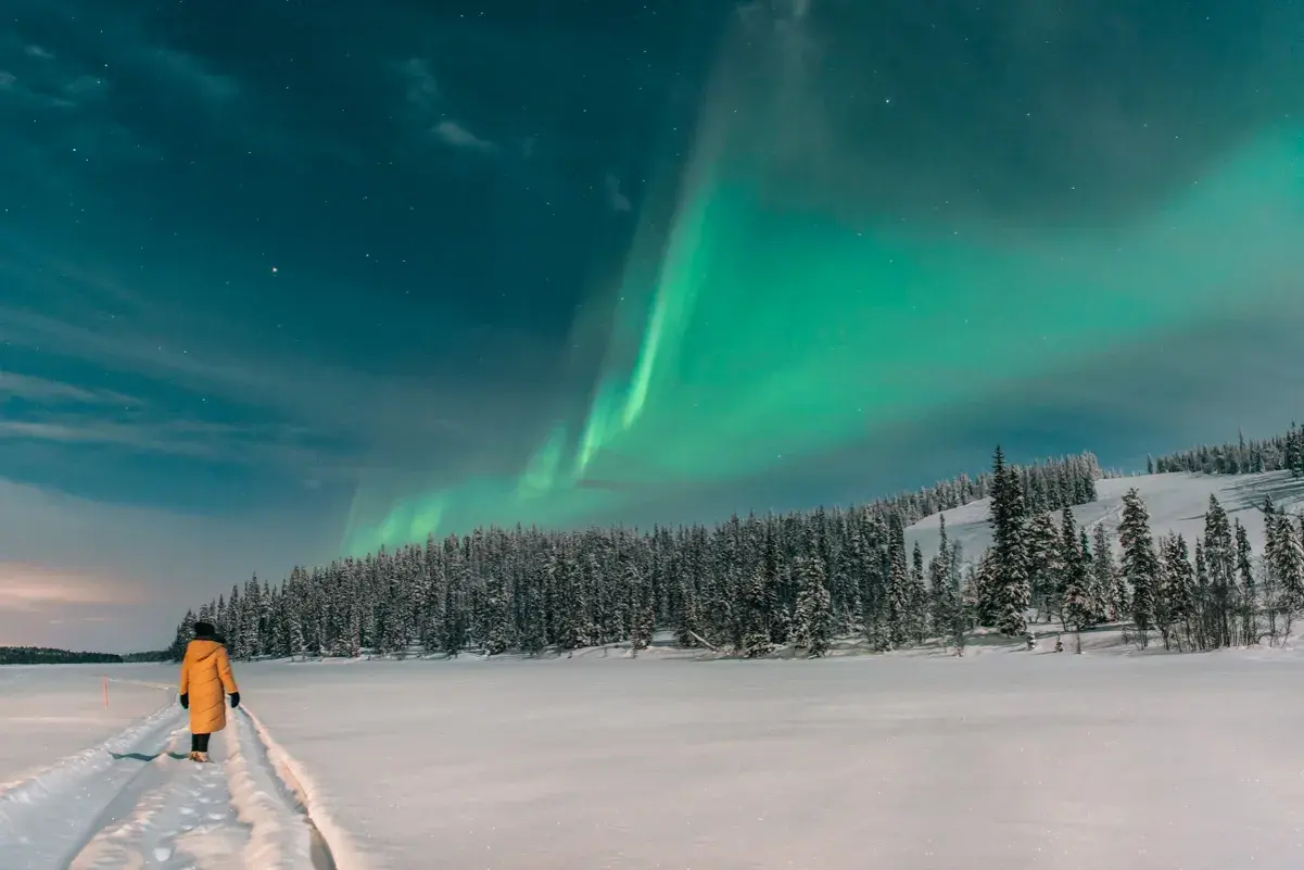 Eine Person in einem gelben Mantel steht auf einem verschneiten Weg und blickt auf die Nordlichter über einem Wald. Ein perfekter Ort, wo man im Winter Urlaub machen kann.
