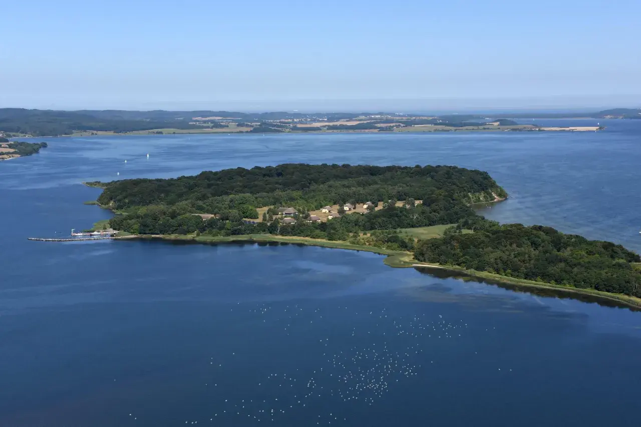 Grüne Insel Vilm mit Häusern und einem Pier, umgeben von blauem Wasser, auf dem Vögel schwimmen.